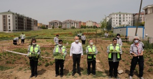 Engel tanımayan izciler meyve ve sebze yetiştirmeye başladı!