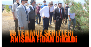 15 Temmuz Şehitleri Anısına Fidan Dikildi