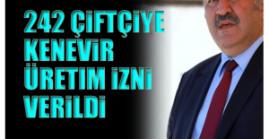 242 çiftçiye kenevir üretim izni verildi