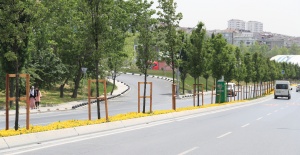 Daha Yeşil Bir Sultangazi