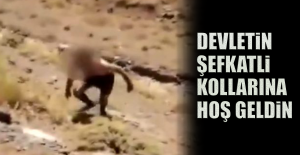 Devletin şefkatli kollarına hoş geldin