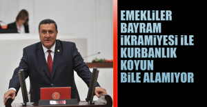 Emekliler, Bayram ikramiyesi ile kurbanlık koyun  bile alamıyor