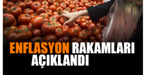 Enflasyon rakamları açıklandı