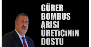 Gürer: “Bombus arısı  üreticinin dostu”