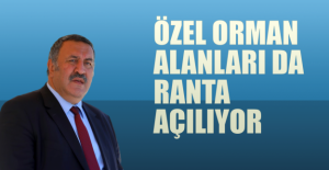 Gürer: “Ormanlar korunmadığı  gibi betonlaşmasına da zemin hazırlanıyor”