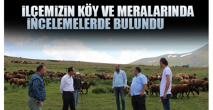 İlçemizin Köy Ve Meralarında İncelemelerde Bulundu