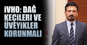 İVHO: Dağ keçileri ve üveyikler korunmalı