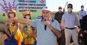 Lavanta Hasat Şenliği renkli görüntülerle gerçekleşti