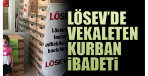 Lösev’de Vekâleten Kurban İbadeti