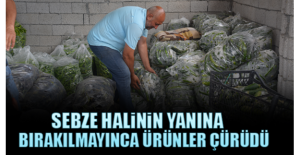Sebze Halinin Yanına Bırakılmayınca Ürünler Çürüdü