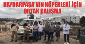 HAYDARPAŞA’NIN KÖPEKLERİ İÇİN ORTAK ÇALIŞMA