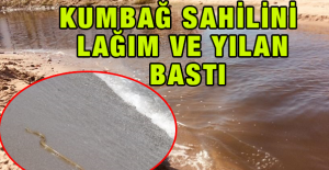 Kumbağ Sahilinde Korkutan Görüntü
