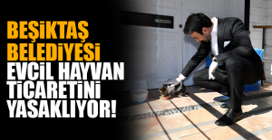 BEŞİKTAŞ BELEDİYESİ, EVCİL HAYVAN TİCARETİNİ YASAKLIYOR!