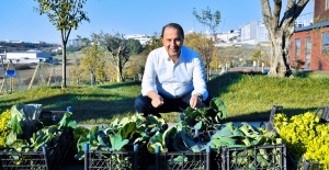 Yaşam Bahçesi’nde İlk Kış Hasadı Yapıldı