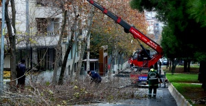 Bağcılar’da ağaçlara kış bakımı yapılıyor