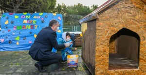 GERİ DÖNÜŞÜMDEN SOKAK HAYVANLARINA YUVA