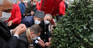 Gençler toprağı getirdi ağacı gaziler dikti