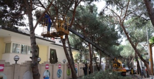 Kartal Belediyesi Park ve Bahçeler Müdürlüğü’nden Yaz Seferberliği