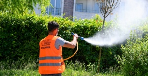 Esenyurt böceklere karşı ilaçlanıyor