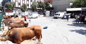 Bağcılar Kurban Bayramı’na hazır