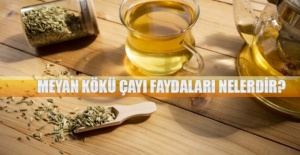 Meyan kökü çayı faydaları nelerdir?