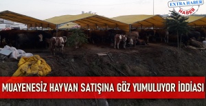 Muayenesiz hayvan satışına izin veriliyor iddiası