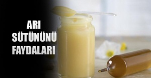 Arı sütünün faydaları nelerdir?