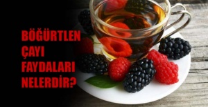 Böğürtlen çayı faydaları nelerdir?