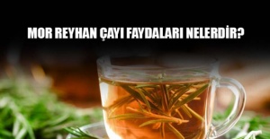 Mor reyhan çayı faydaları nelerdir?