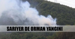 Sarıyer'de orman yangını!