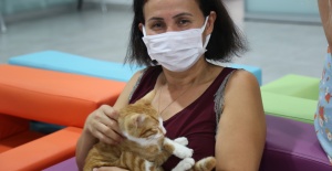 Yaşamaz denilen kedi hayata döndürüldü