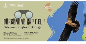 Gelin göçmen kuşları birlikte izleyelim
