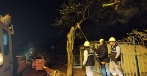 Kartal’da lodos nöbeti
