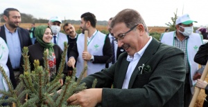 2021 yılında binlerce ağaç dikildi