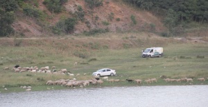 Doğa Düşmanı İnsanlar Hayvanlaşmış !
