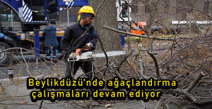 Beylikdüzü’nde ağaçlandırma çalışmaları devam ediyor