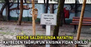 Terör saldırısında hayatını kaybeden Yağmur’un anısına fidan dikildi