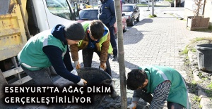 Esenyurt’ta ağaç dikim gerçekleştiriliyor