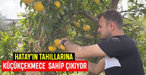 Küçükçekmece Belediyesi'nden Hatay'daki üreticilere destek