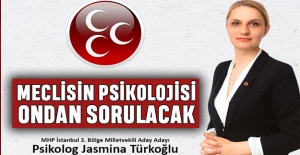 Jasmina Türkoğlu meclis yolunda