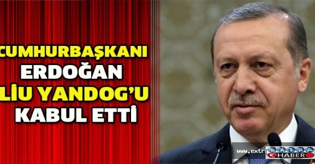 Cumhurbaşkanı Erdoğan Liu Yandogu kabul etti