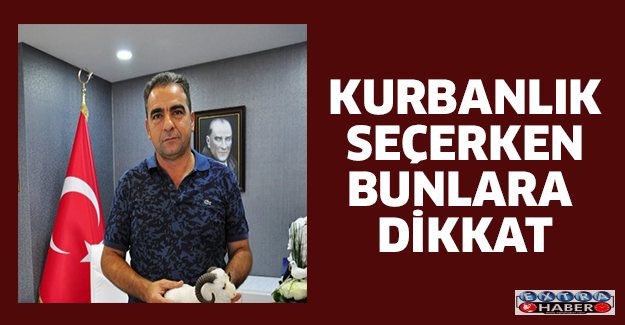 Kurbanlık seçerken bunlara dikkat