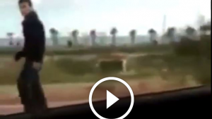 Öyle bir şey yaptılar ki,adam korkudan arabadan hızlı depar attı!!!