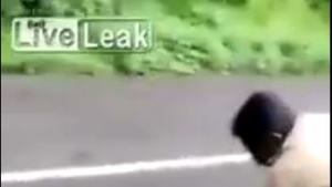 YILANI KUSTURTARAK MİDESİNDEN ÇIKARTTIĞI ŞEYLER ŞOK YAŞATTI!!!